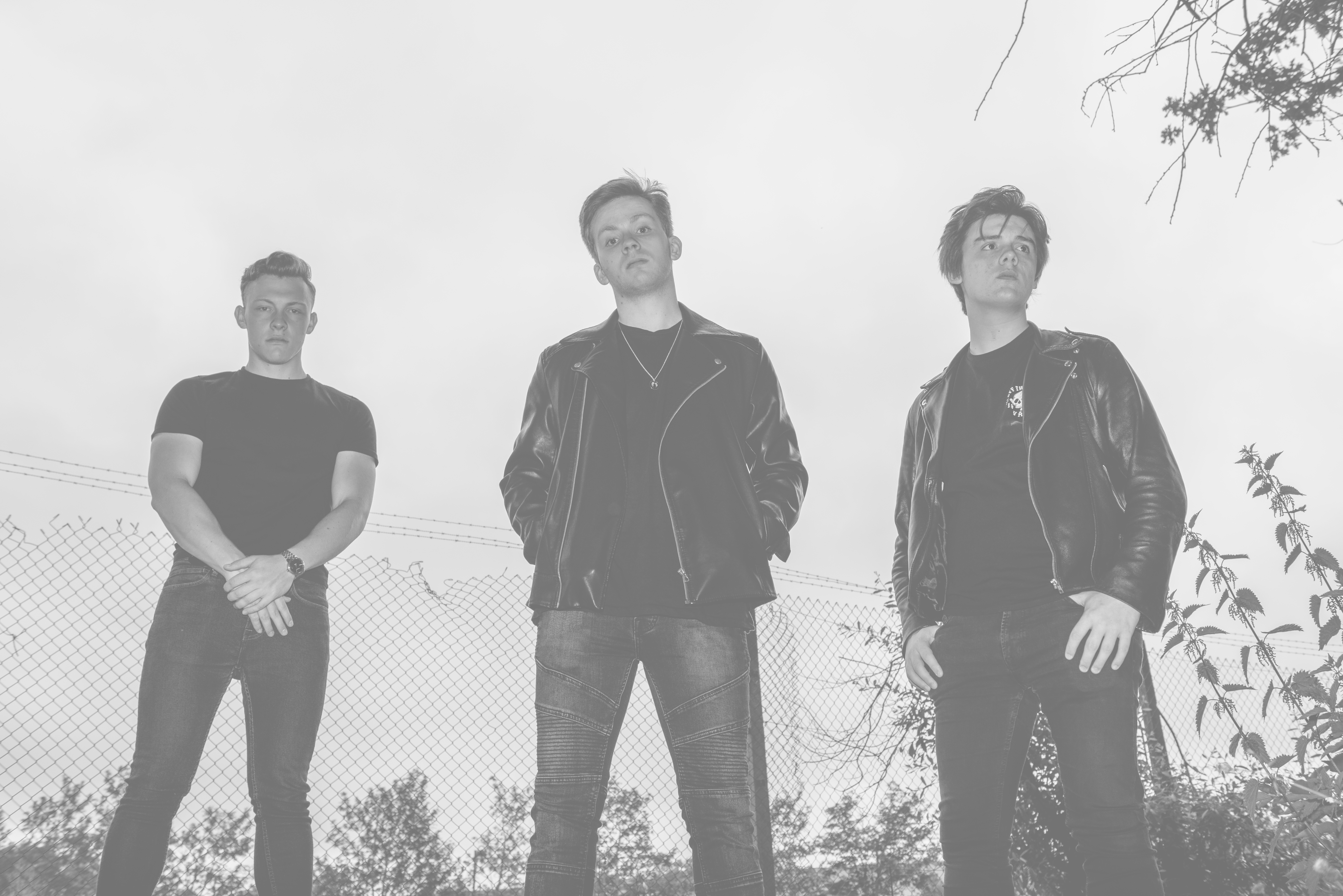 The Band