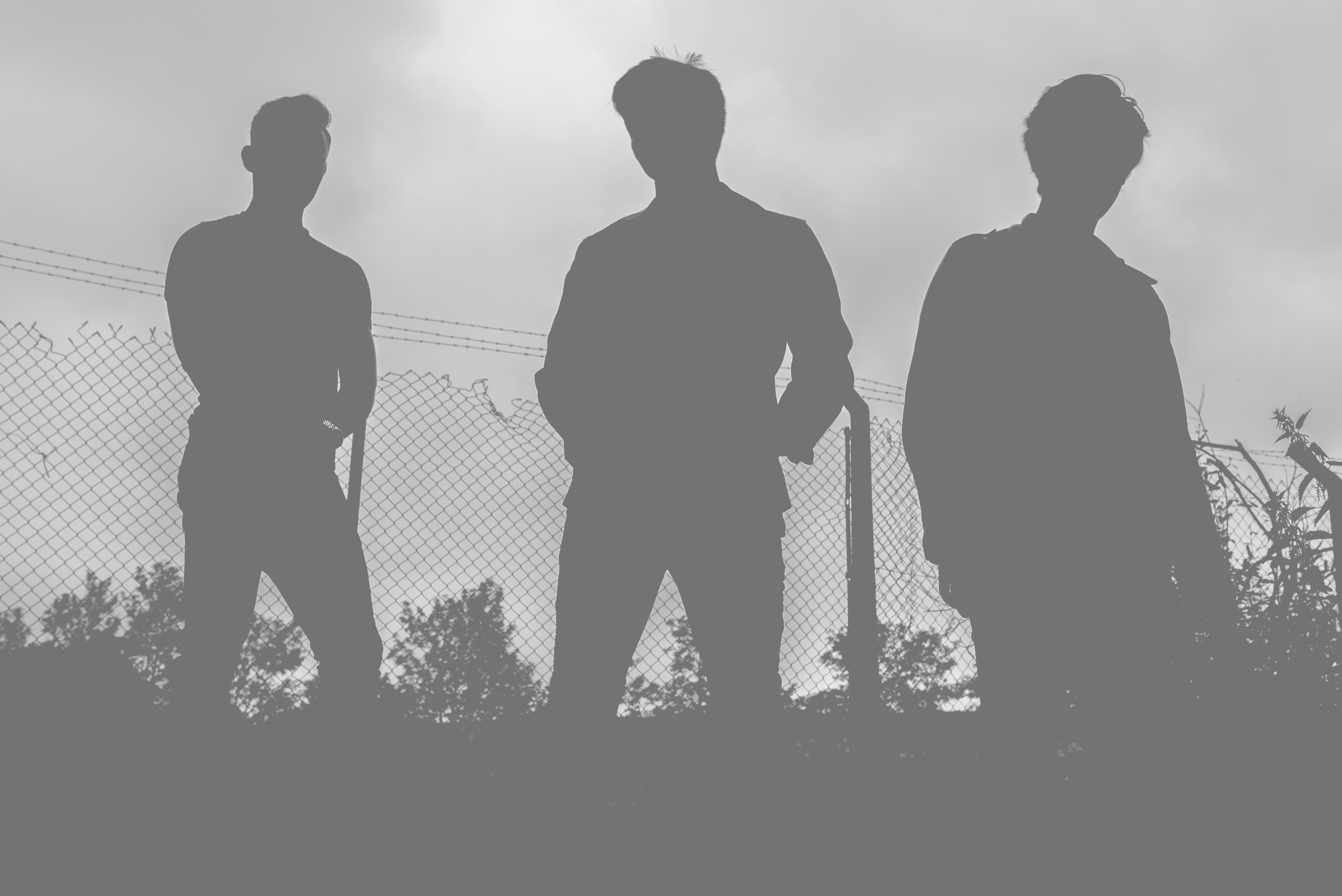 The Band